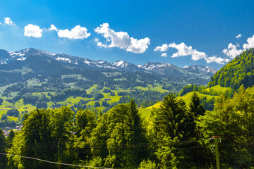 Mountains and meadows covered with forest in the village Darstetten in Frutigen-Niedersimmental, Bern, Switzerland