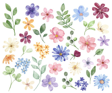 Flowers and leaves digital illustration, spring design, watercolor hand painting. Perfectly for printing, sublimation.	