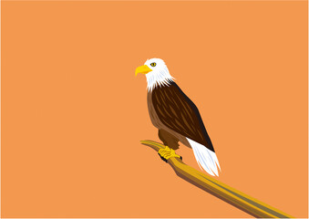 夕暮れ時に木に止まるハクトウワシのイラスト