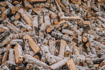 A pile of birch wood in winter