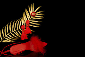 Obraz premium earrings with diamonds isolated on black background.