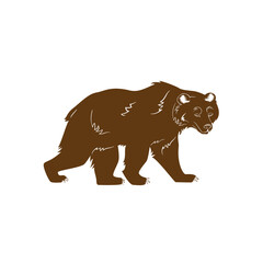 a brown bear on a white background vector illustration