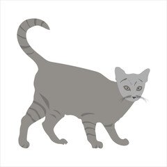 A very nice cat is standing vector artwork