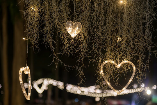 heart shape light decoration at park to celebrate valentine's day