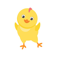 Cute dancing chicken. Yellow funny baby chick isolated on white. Vector cartoon flat illustration. 