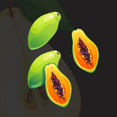 Green Juicy Bright Fresh Ripe Papaya Vector Illustration