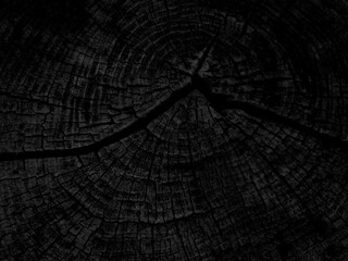 Czarne drewno tapeta © Monika Janiak-Klicha