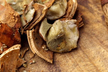 Raw hazelnuts during the preparation of nuts for food. Spoiled foods with mold, close-up macro