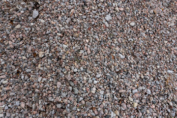 Small sea pebbles on the shore