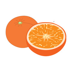 Colorful and tasty orange slice vector artwork