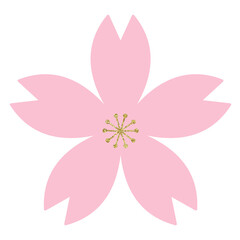 pink flower, cherry blossom