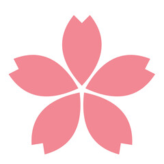 pink flower, cherry blossom