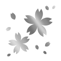 silver flower, cherry blossom
