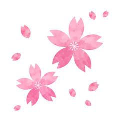 pink flower, cherry blossom