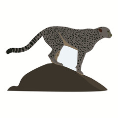 A high speedy cheetah is running vector artwork