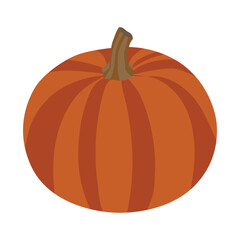 Pumpkin ripe isolated on white background