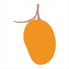 A ripe mango hanging on branch vector artwork