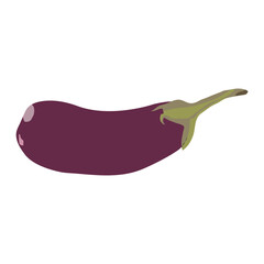 Violet color brinjal