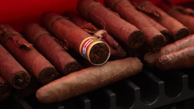 Handmade tobacco cigars from Puerto Rico
