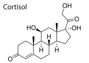 Vector of molecular structure of Cortisol human steroid