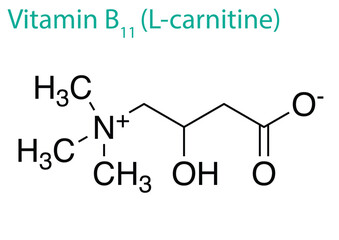 Illustration of a Vitamin B11 molecule isolated on a white background