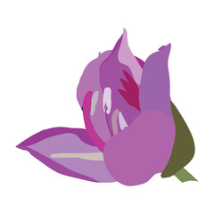 A nice color country flower vector artwork