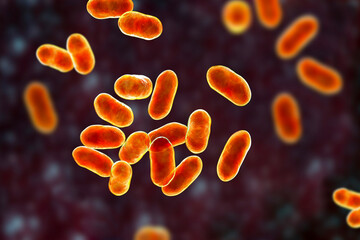 Prevotella bacteria, 3D illustration. Gram-negative anaerobic bacteria, cause anaerobic infections of respiratory tract and other location