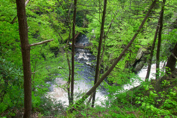 bushkill falls waterfaill and river landscape