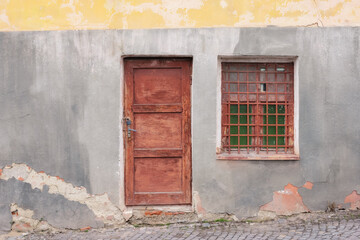 old grunge door. architectural background