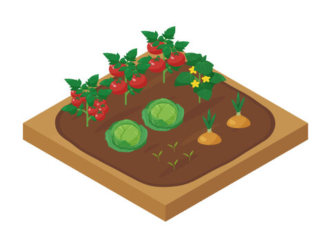 野菜を育てる畑のイラスト_アイソメトリック