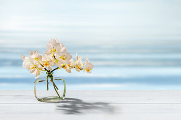 white orchid flower decoration in a glass vase with sunlight on wooden table with copy space, floral spa background with spirit of purity