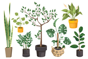 Houseplants set graphic elements in flat design. Bundle of potted plants, monstera, ficus, callas and other different types of plant and home trees on pots. Illustration isolated objects