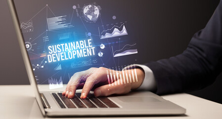 Fototapeta premium Businessman working on laptop, business concept