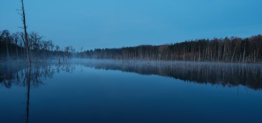 A quiet, calm lake with adjacent forest on the shore.