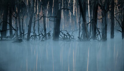 Dead trees in the lake form a sihoulette in the morning mist