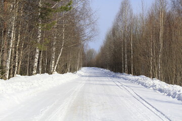 road in winter forest