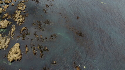 Rocky seashore, top view. Big rocks, water.