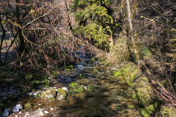 l'Allondon rivière sauvage 