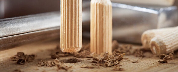 Two wooden dowel for fastening oak plank. Timber industry.