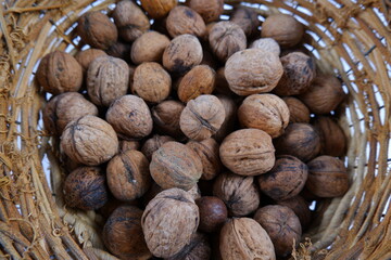 There are a lot of nuts in a dirty shell in the basket. The use of walnut. Natural products. Autumn harvest. Vitamins in nuts.Improper storage of nuts