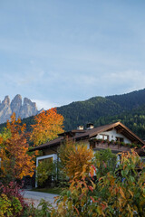 Wooden House at the Famous Santa Maddalena Village, Val di Funes valley, Trentino Alto Adige region, Italy; Beautiful View of the Dolomites Mountains in the Background