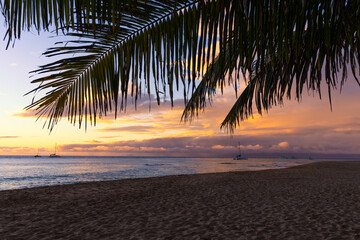 Beautiful Sunset on a Hawaiin beach with palm trees
