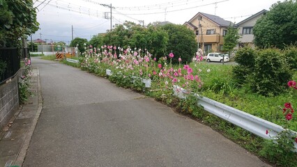 Obraz premium english country house