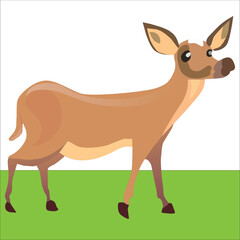 deer with grass.A deer with long horns stands on the grass and looks forward-vector Artwork