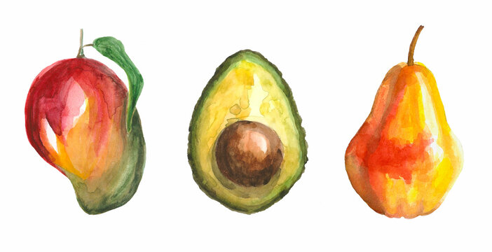 mango, avocado, pear - fruits set, watercolor illustration isolated on white