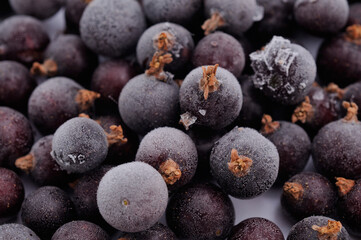 Frozen black currant berries.