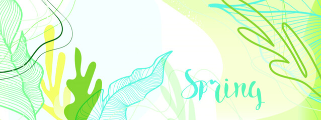 Banner with the inscription "hello Spring". Gently green floral background. Large tropical leaves, texture, shadows, blurry shapes