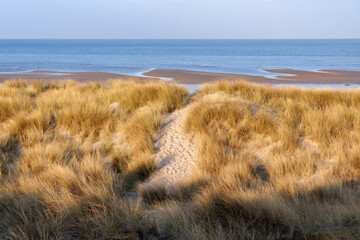 Sand dunes of  Bricqueville-sur-Mer beach