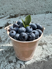 Blueberries in the small bucket
