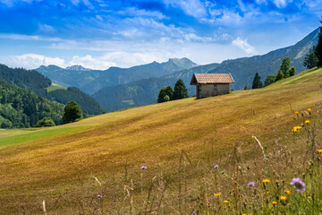 Small cabin hut on meadow, Bad Hindelang, Bavaria, Germany